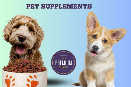 How to choose Pet Supplements