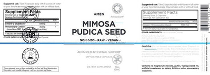 Organic Mimosa Pudica Seed Amen