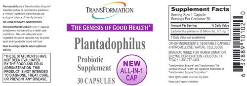 Plantadophilus Transformation Enzyme