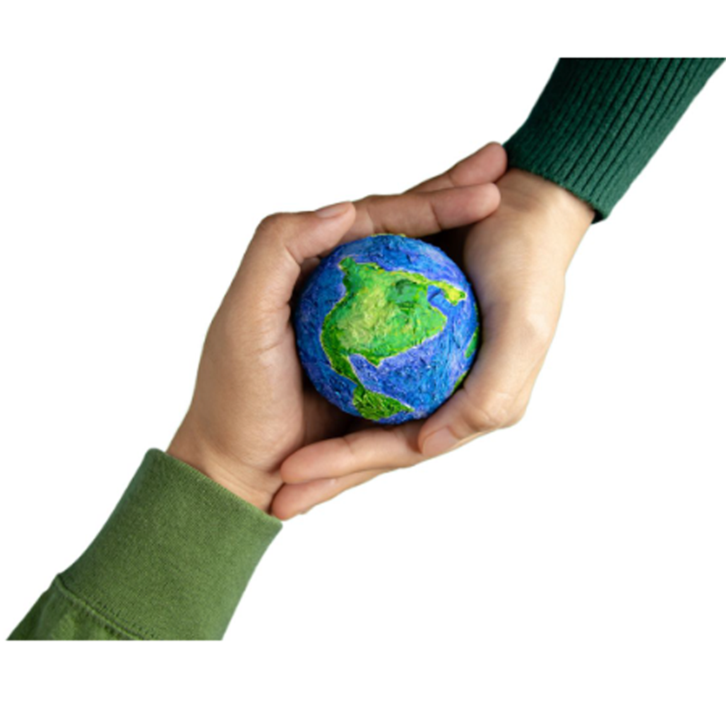 Contribution to Environment