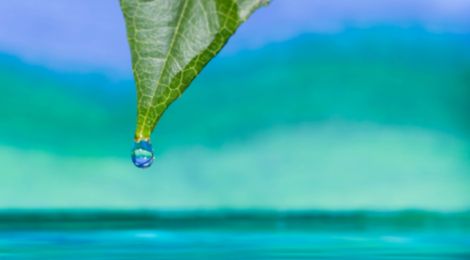 Contribution To Environment