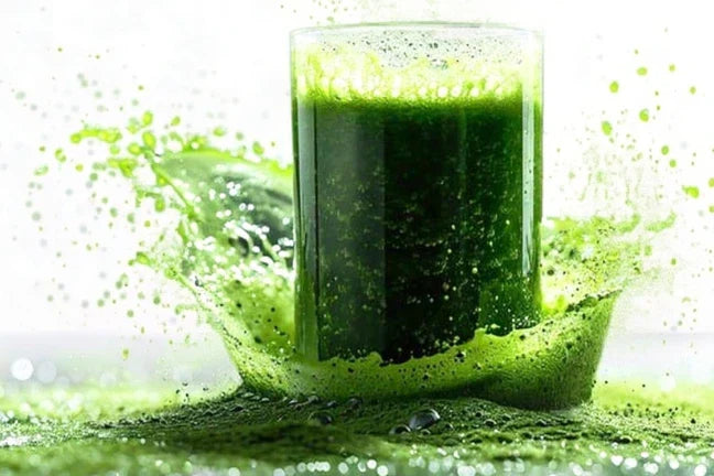 Detoxification for People of All Ages