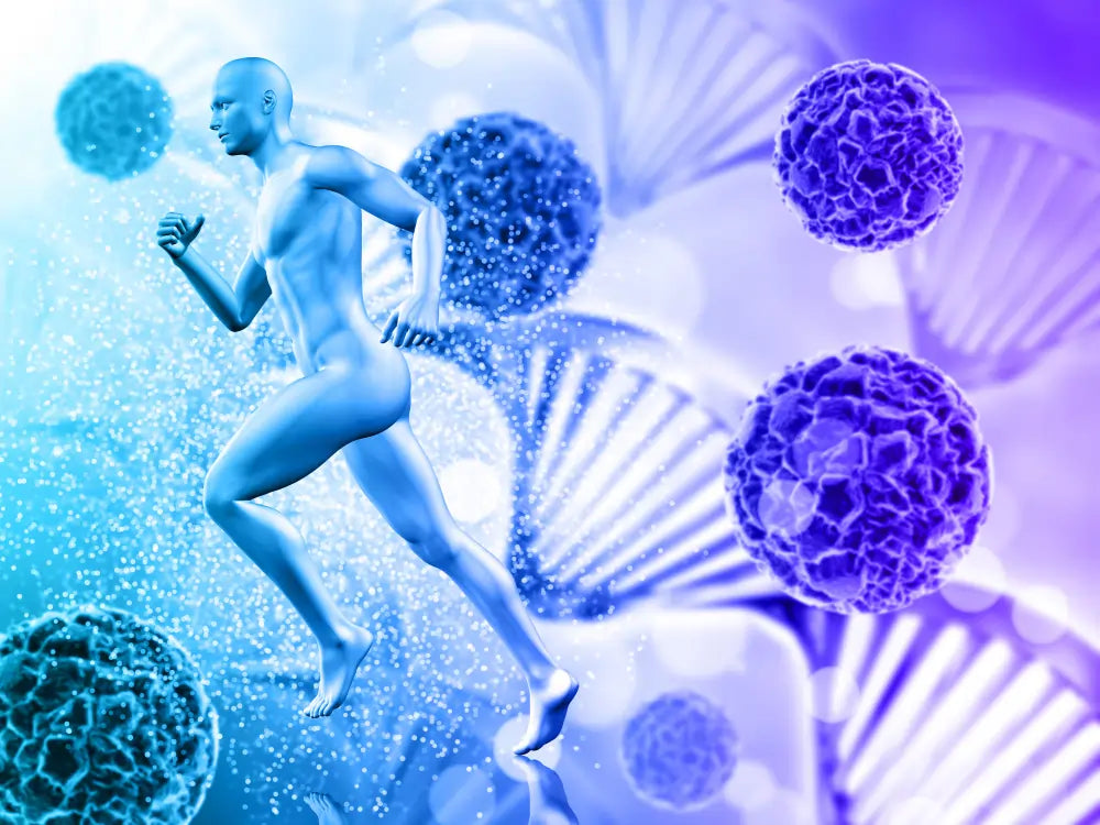 Why Mitochondrial Health Became the New Obsession of High Performers