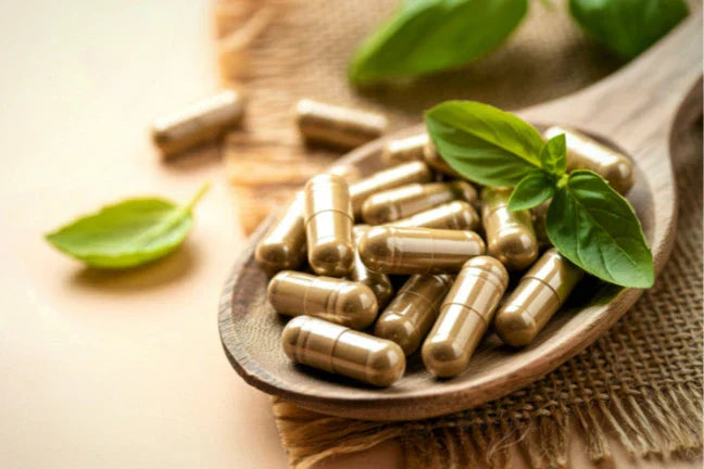 Ultimate Guide to Probiotics for Digestive Health