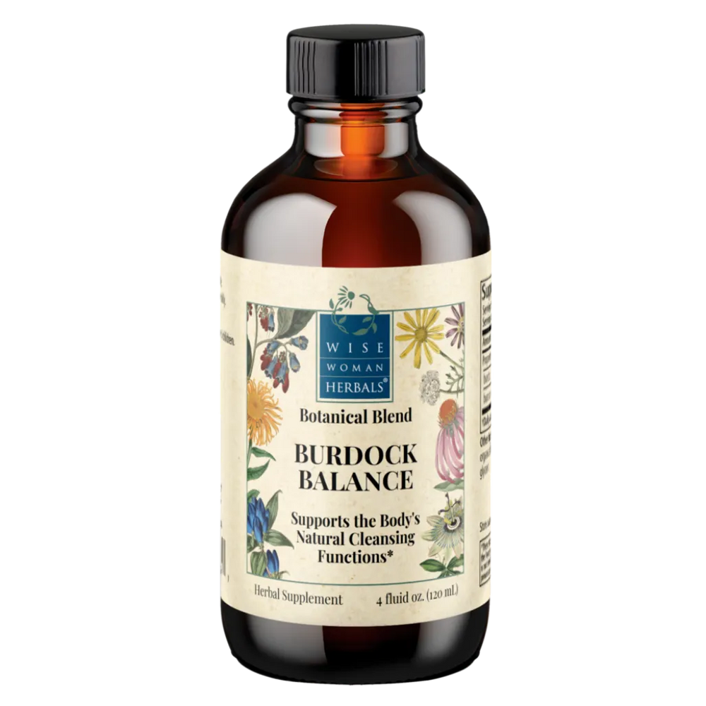 Arctium lap. burdock