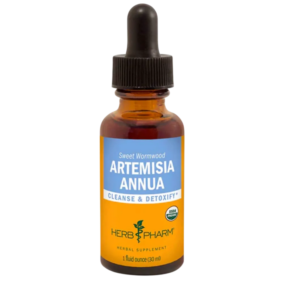 Artemisia Annua Herb Pharm