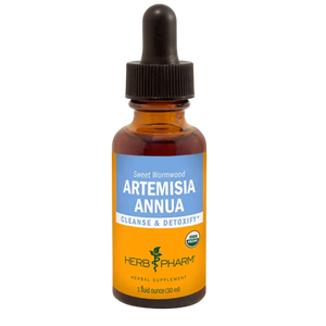 Artemisia Annua Herb Pharm
