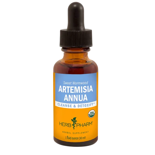 Artemisia Annua Herb Pharm