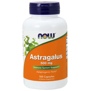Astragalus 500 mg by Now - 100 Capsules |  Support Immune Health