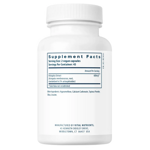 Astragalus Root Extract - 90 Capsules - Vital Nutrients