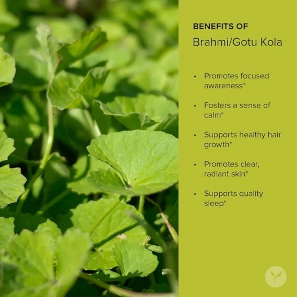 Brahmi/Gotu Kola Leaf Pwdr Organic 1 lb Banyan Botanicals
