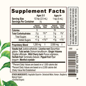 Bronchial Support Syrup, Organic 6 fl oz Banyan Botanicals