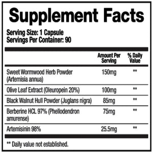 Paracid-X 90 capsules by BioMatrix | Plant based relief from GI Toxins