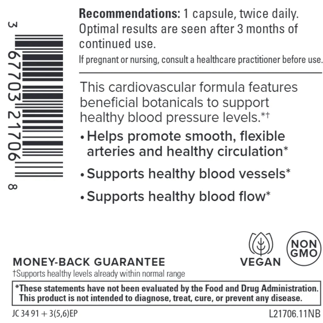 Blood Pressure Health Terry Naturally