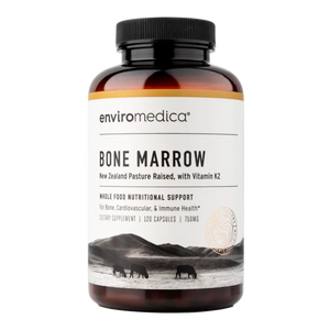 Bone Marrow 