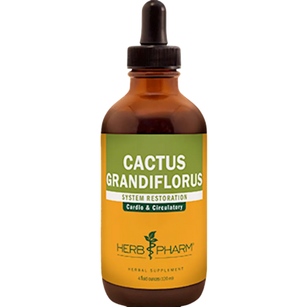 Cactus Grandiflorus  Herb Pharm