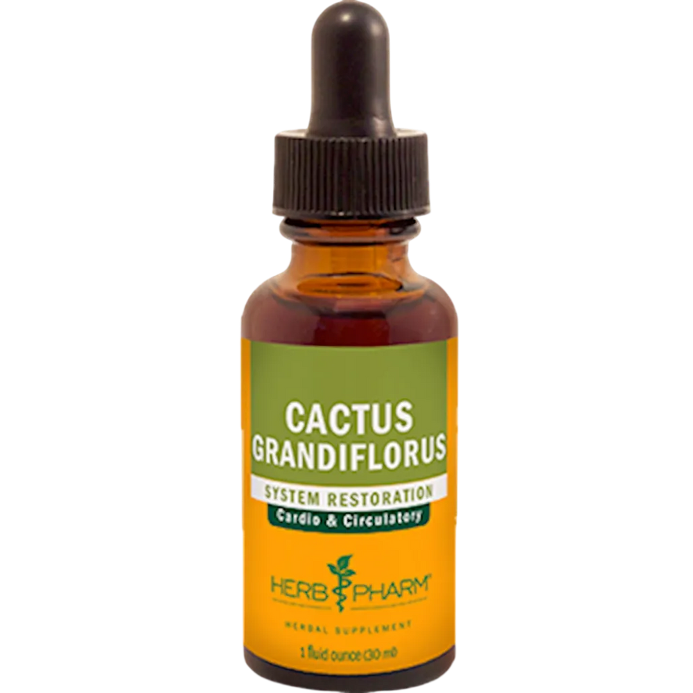 Cactus Grandiflorus  Herb Pharm
