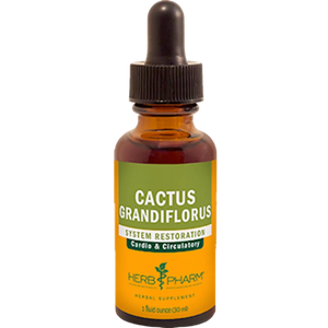 Cactus Grandiflorus  Herb Pharm