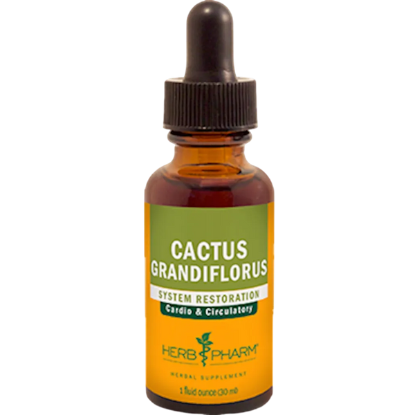 Cactus Grandiflorus  Herb Pharm
