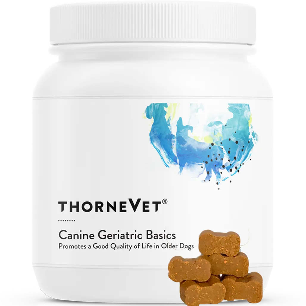 Canine Geriatric Basics Thorne Vet