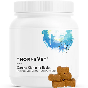 Canine Geriatric Basics Thorne Vet