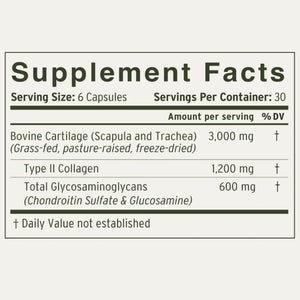 Cartilage Collagen 