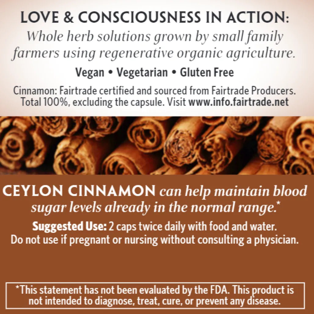 Cinnamon Organic India 