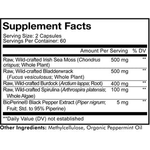 CodeAge Sea Moss+ - Supports Digestive Health