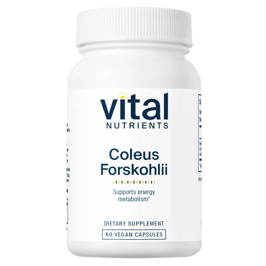 Vital Nutrients Coleus Forskohlii - Maintain Healthy Metabolic Function and Balanced Blood Sugar Levels