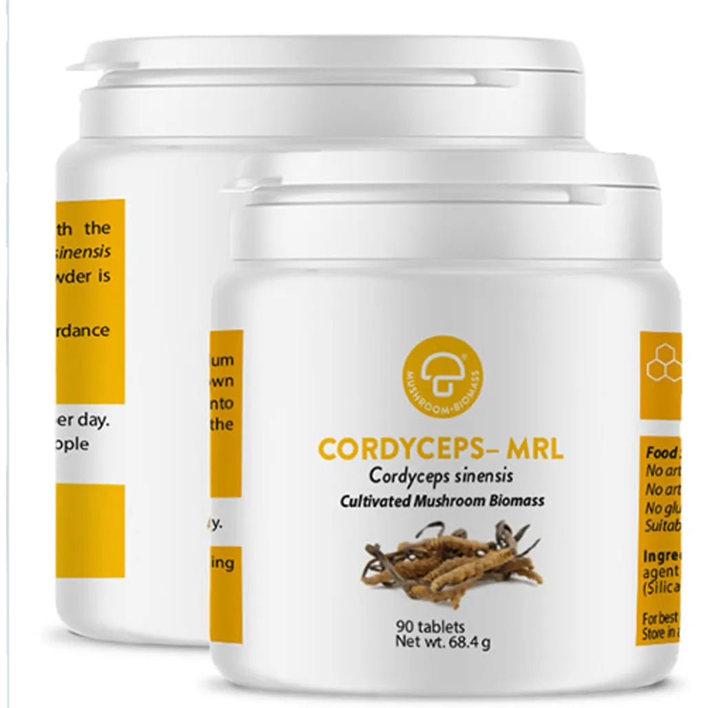 Cordyceps Sinensis-MRL Mycology Research Labs