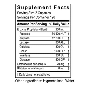 DigestZyme Transformation Enzyme