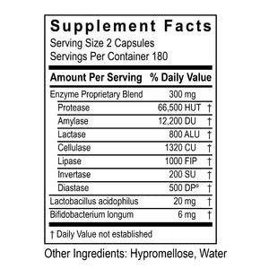 DigestZyme Transformation Enzyme