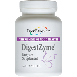 DigestZyme Transformation Enzyme