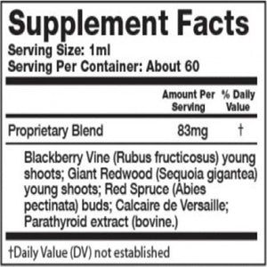 Bone Strength Dr. Garber's