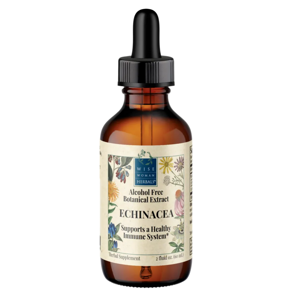 Echinacea Glycerite