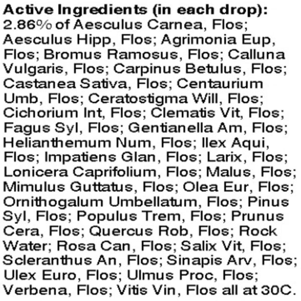 Multi-Flower Energique