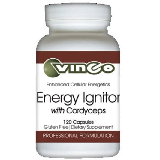 Energy Ignitor Vinco