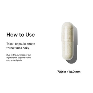 How to Use Thorne Ferrasorb Supplement 