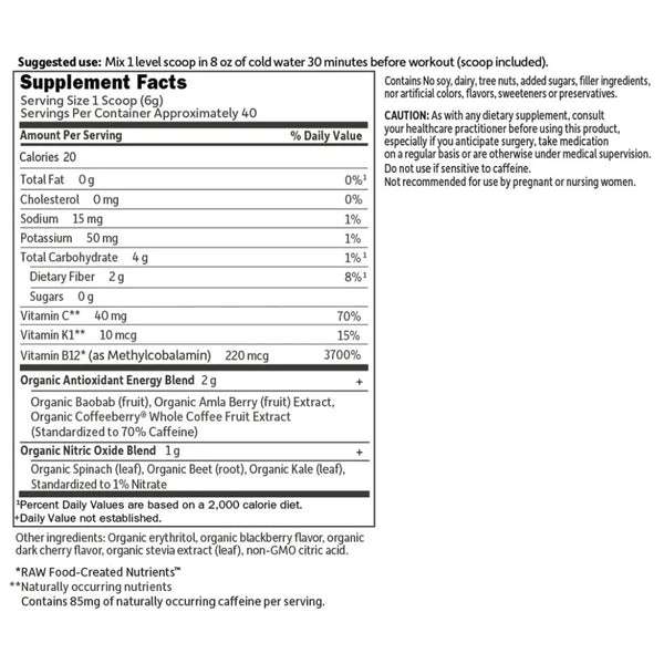 SPORT Organic Energy + Focus SF Blackberry Cherry