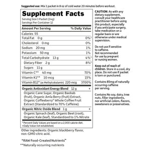 Sport Org PreWorkout Energy+Focus Blackberry Garden of Life Sport