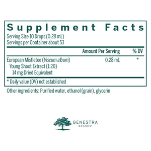 European Mistletoe Genestra