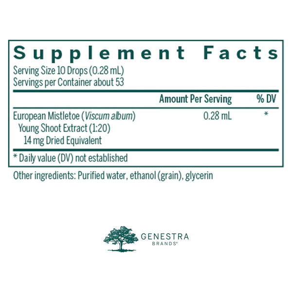 European Mistletoe Genestra