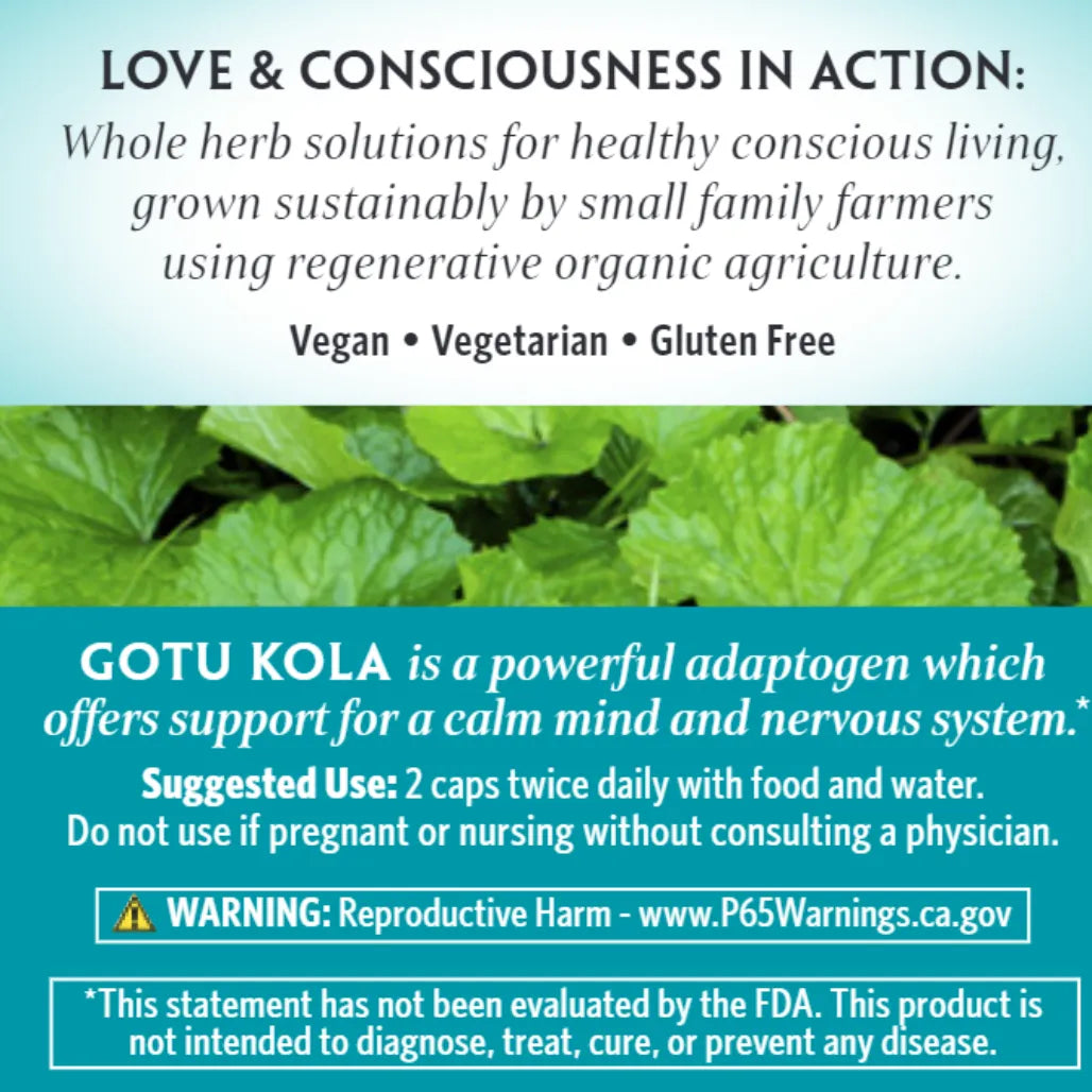 Gotu Kola Organic India