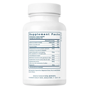 Ingredients of Herbal Biotic Dietary Supplement - Vitamin A, Vitamin C, Zinc