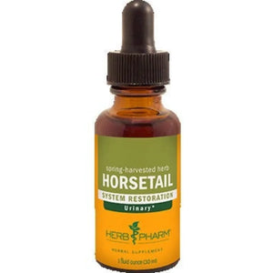 Horsetail Herb Pharm