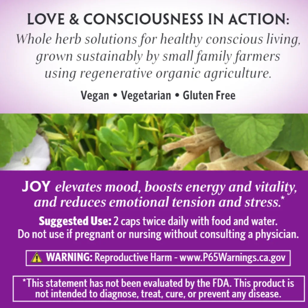 Joy Organic India