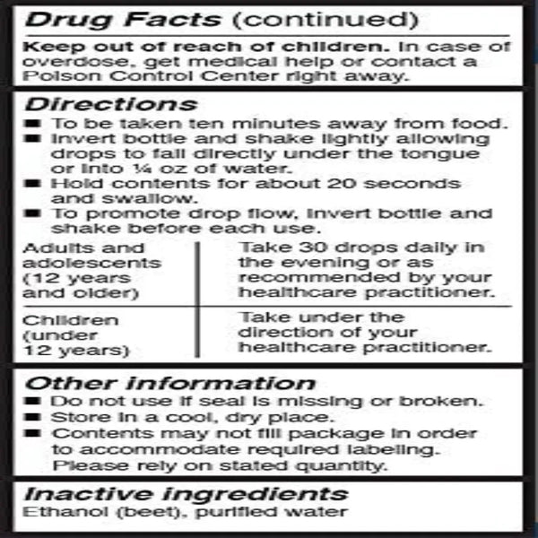 Juncturinum Plex by Unda