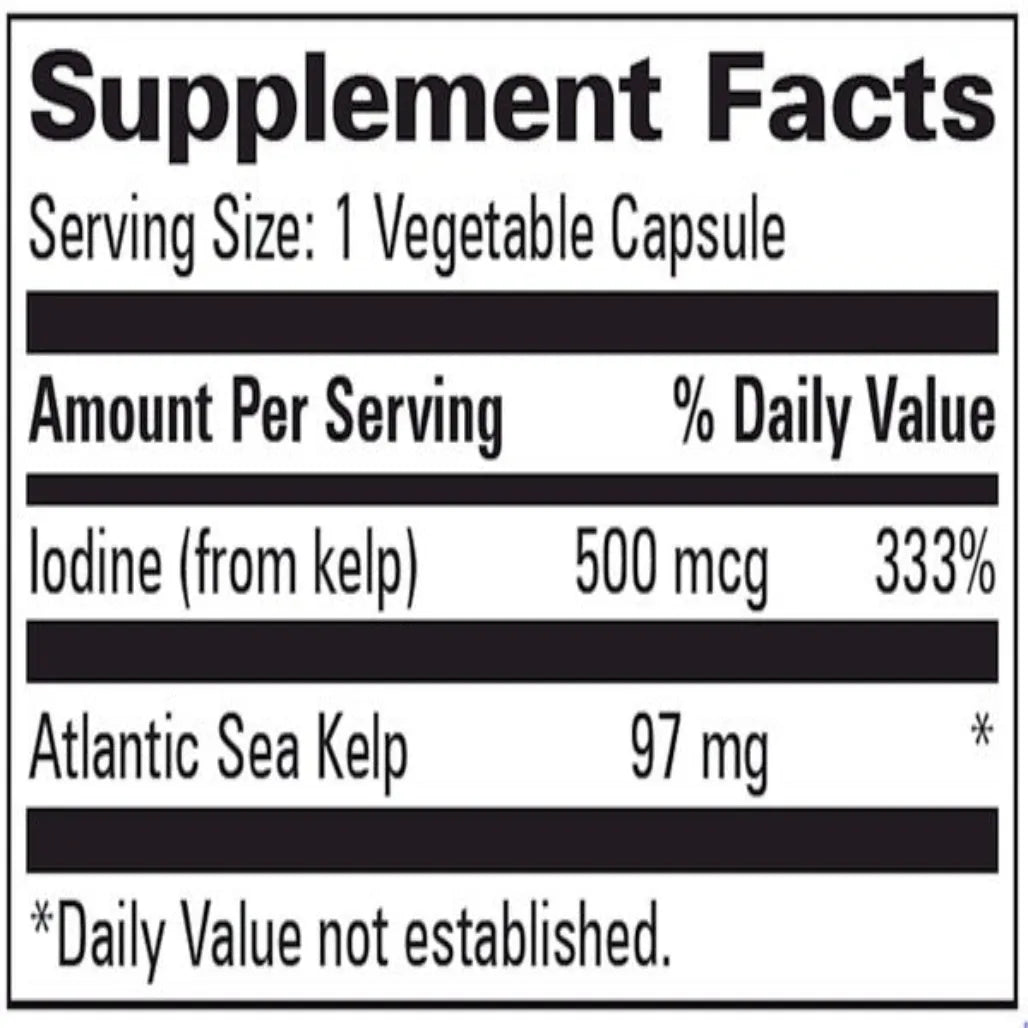 KELP Progressive Labs