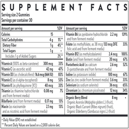 Ingredients of Kid's Multivitamin Gummies dietary supplement - organic berry blend, biotin