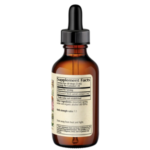 Leonurus cardiaca - motherwort